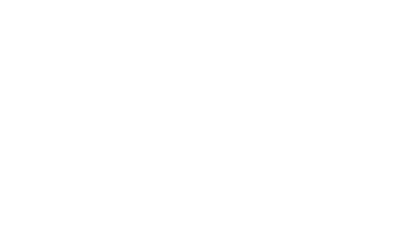 F&F Waffen Logo